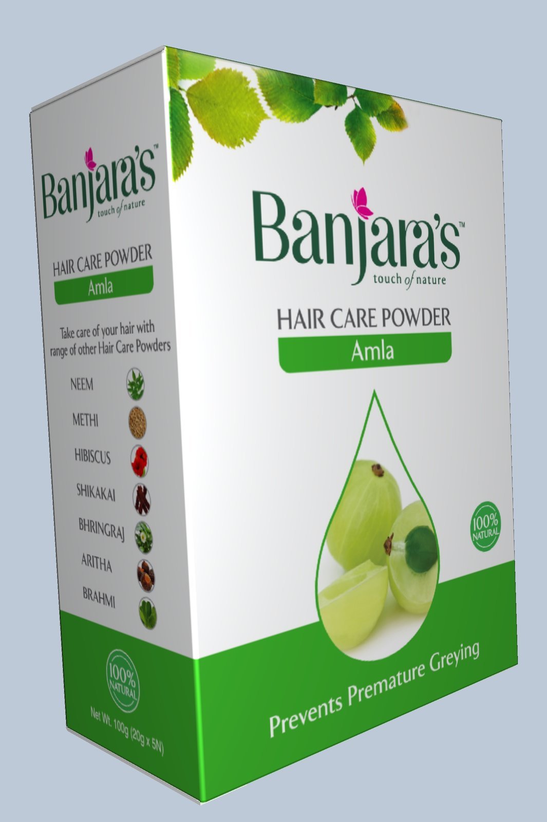 Banjara's amla hair care carton 3D render
